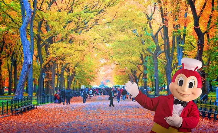 Fall Park Background